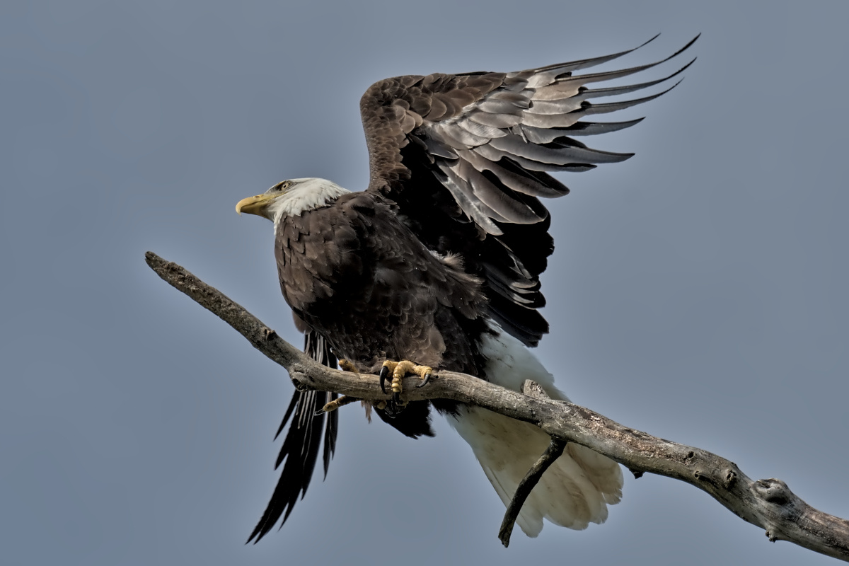 September at Stockport Flats 07