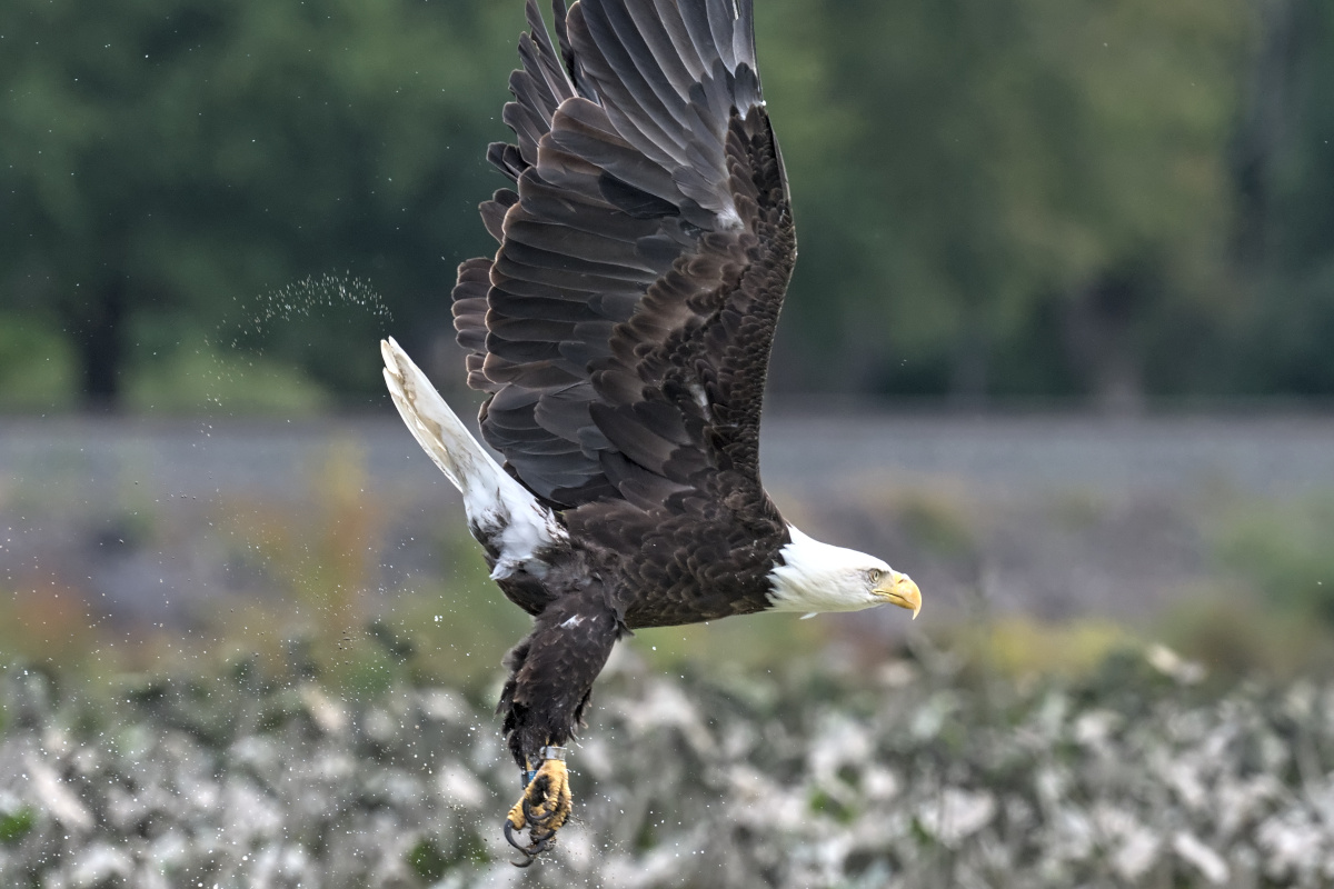 September at Stockport Flats 17