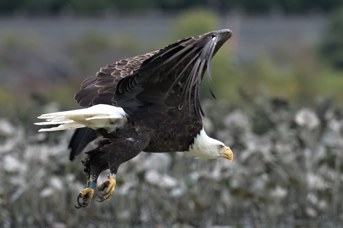September at Stockport Flats 18