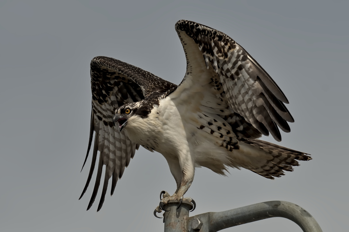 September at Stockport Flats 21