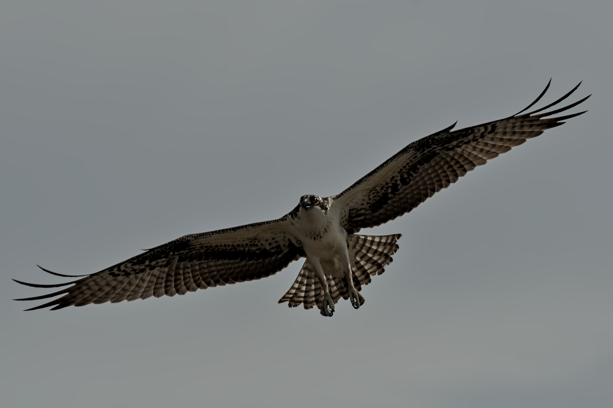 September at Stockport Flats 22