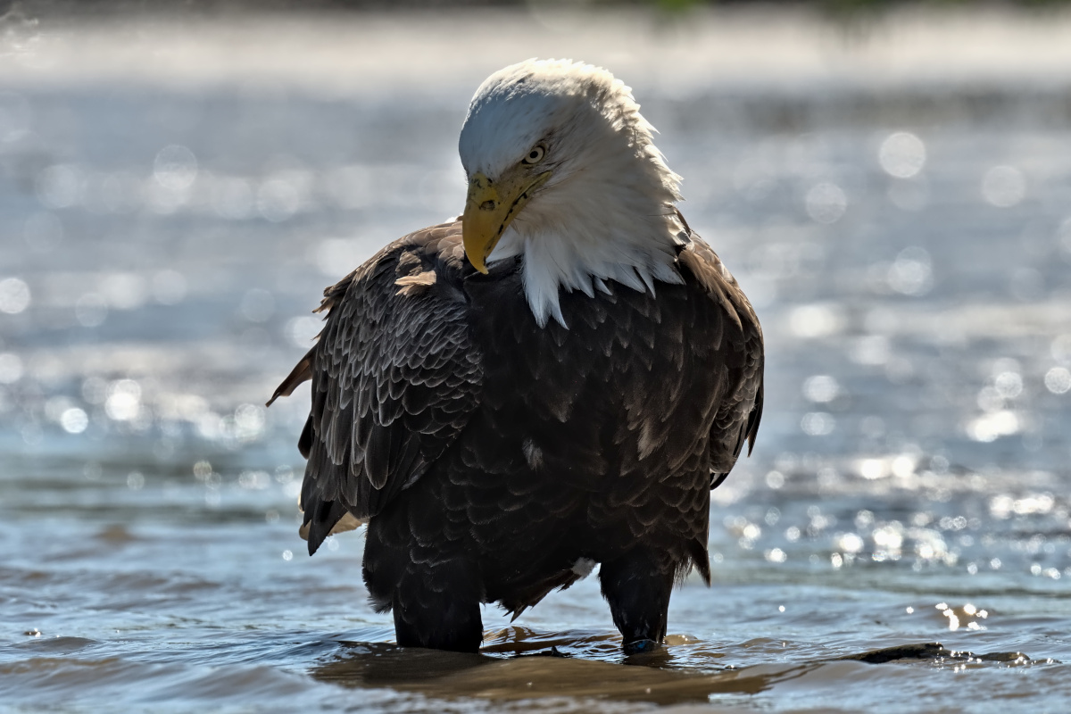 September at Stockport Flats 33
