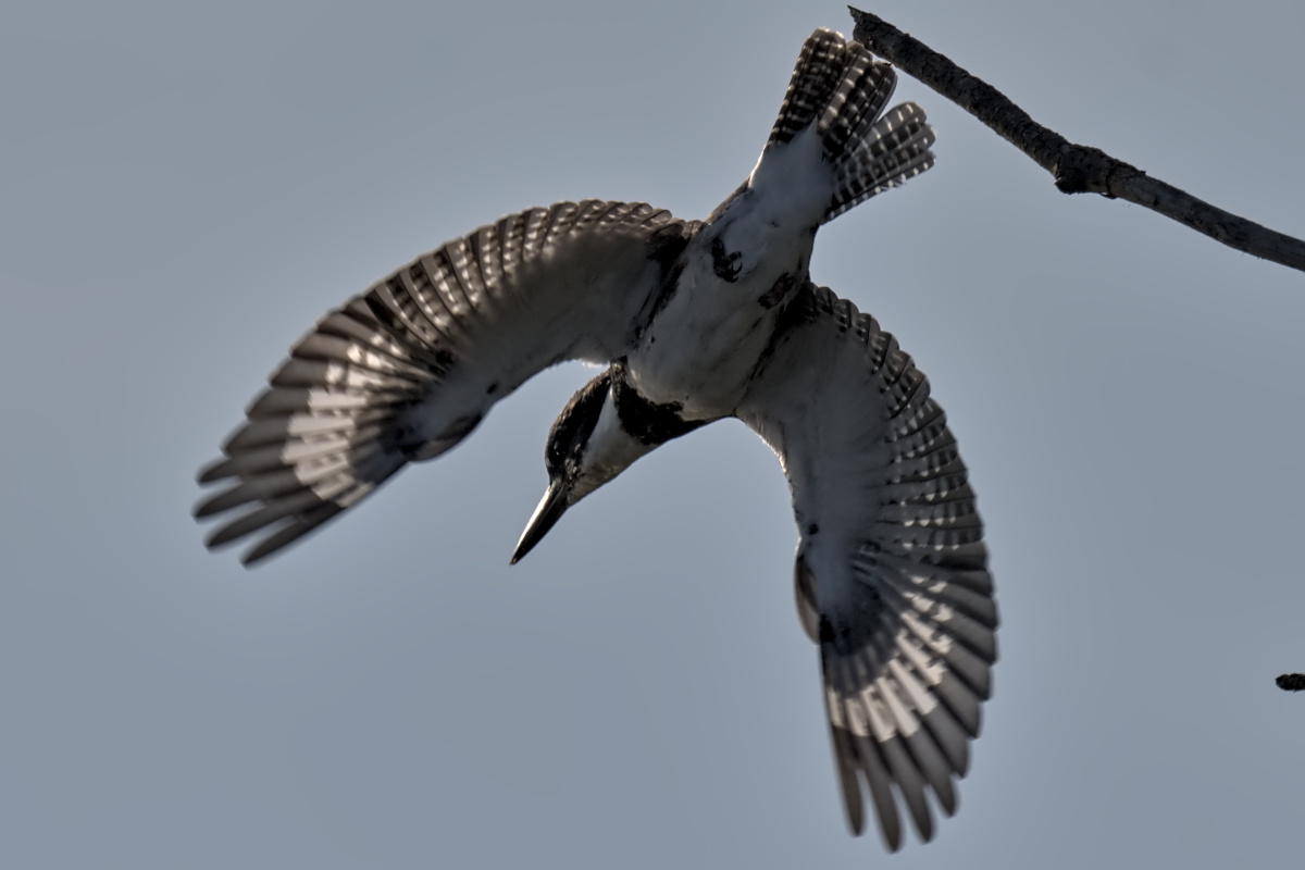 September at Stockport Flats 64