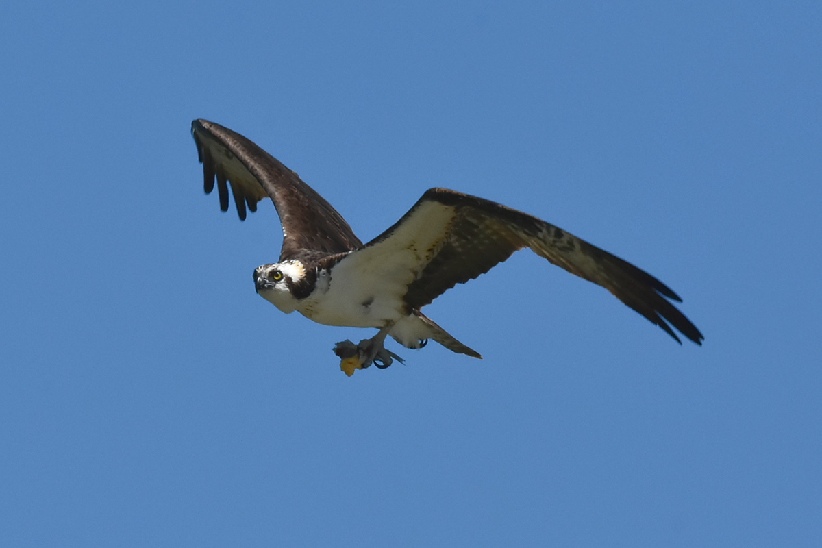South Lake Champlain 02