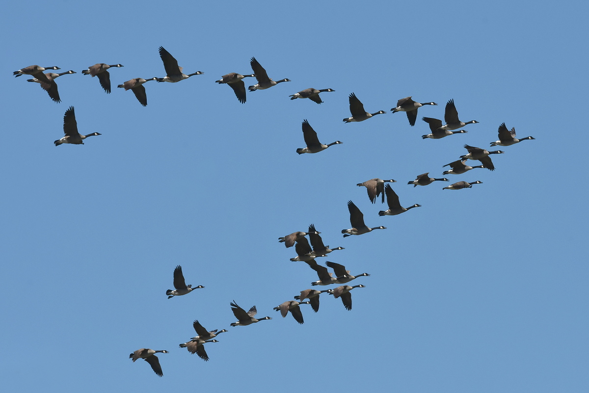 South Lake Champlain 03