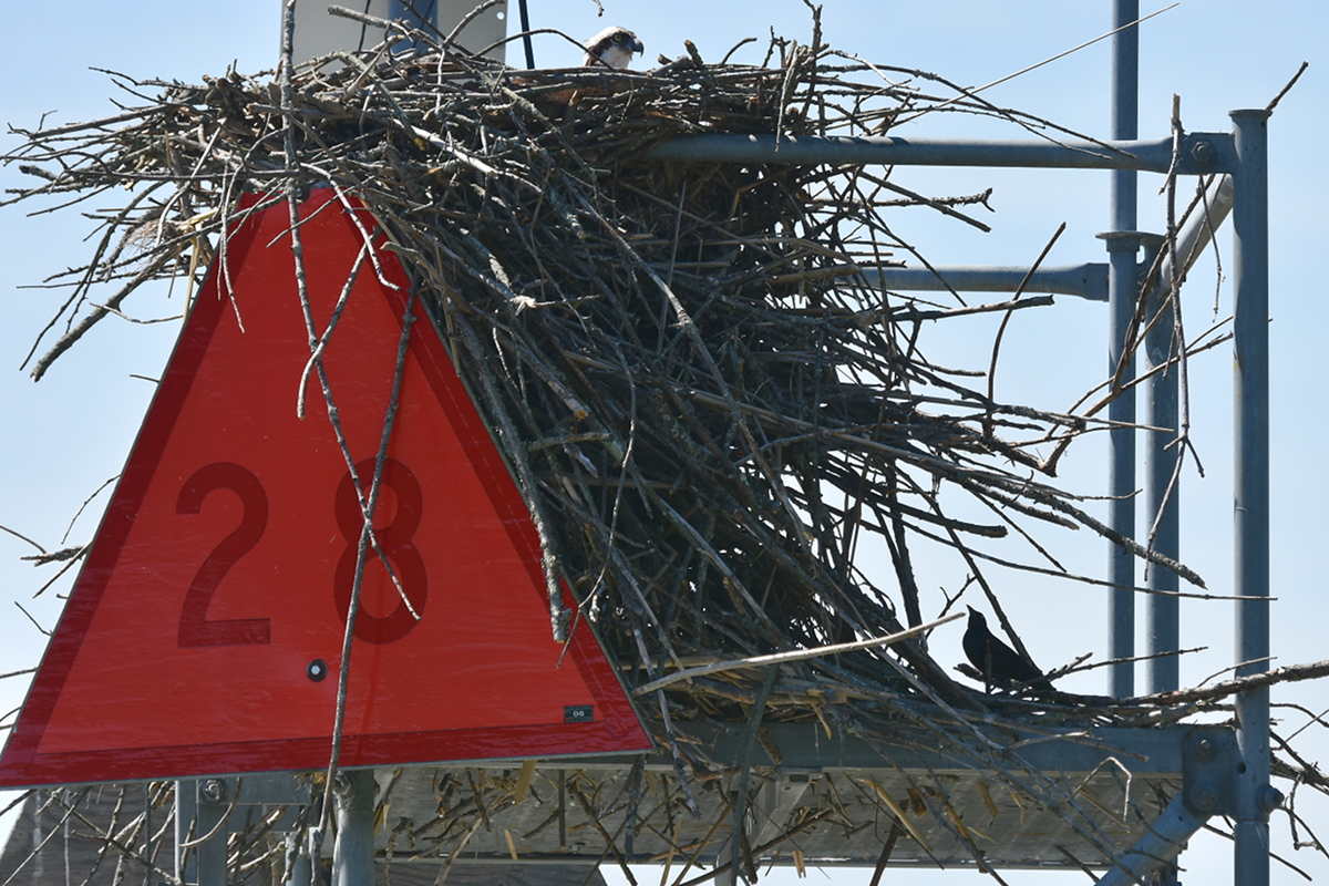 South Lake Champlain 07