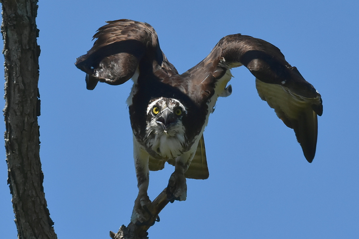 South Lake Champlain 09