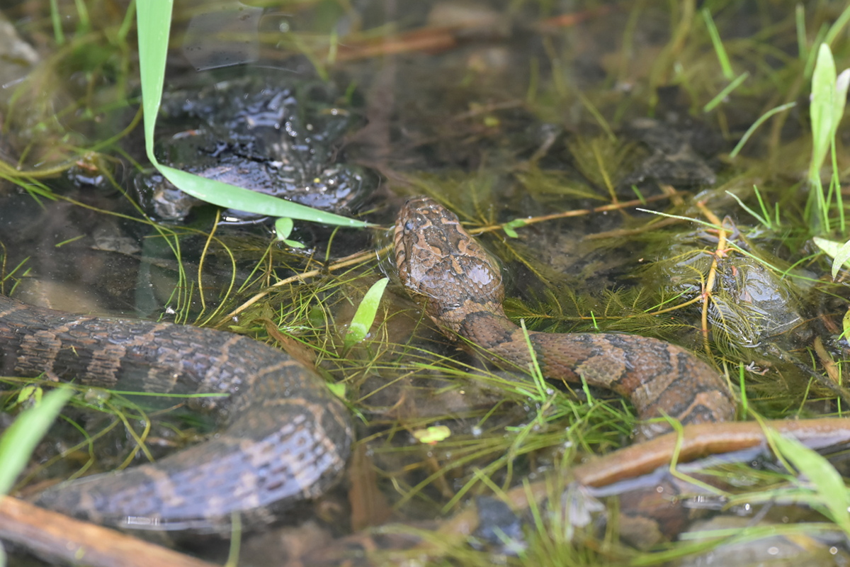 South Lake Champlain 18
