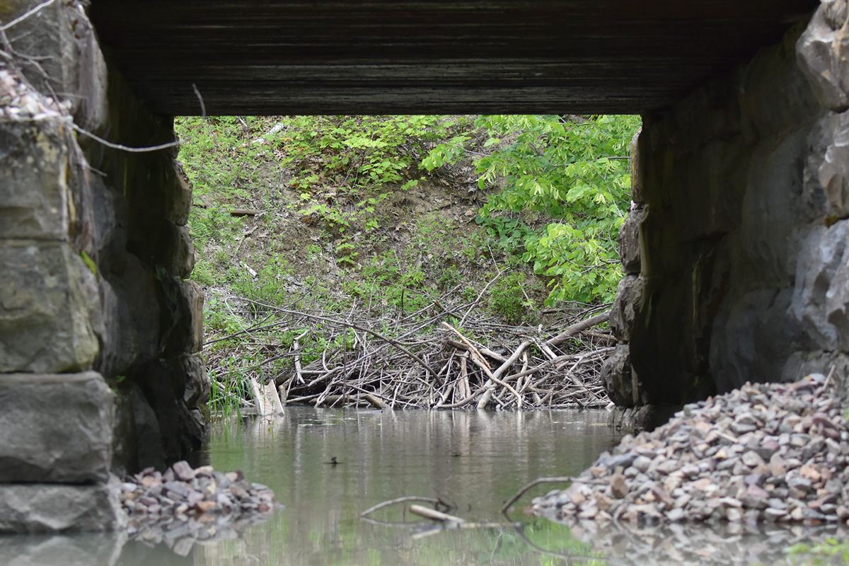 South Lake Champlain 20