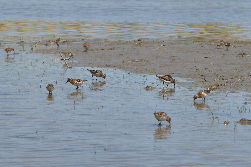 Hudson River (Spring Activity) 17