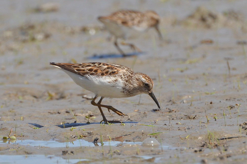 Hudson River (Spring Activity) 19