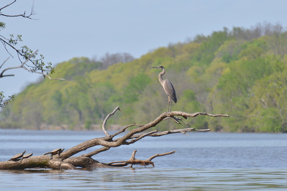 Hudson River (Spring Activity) 28