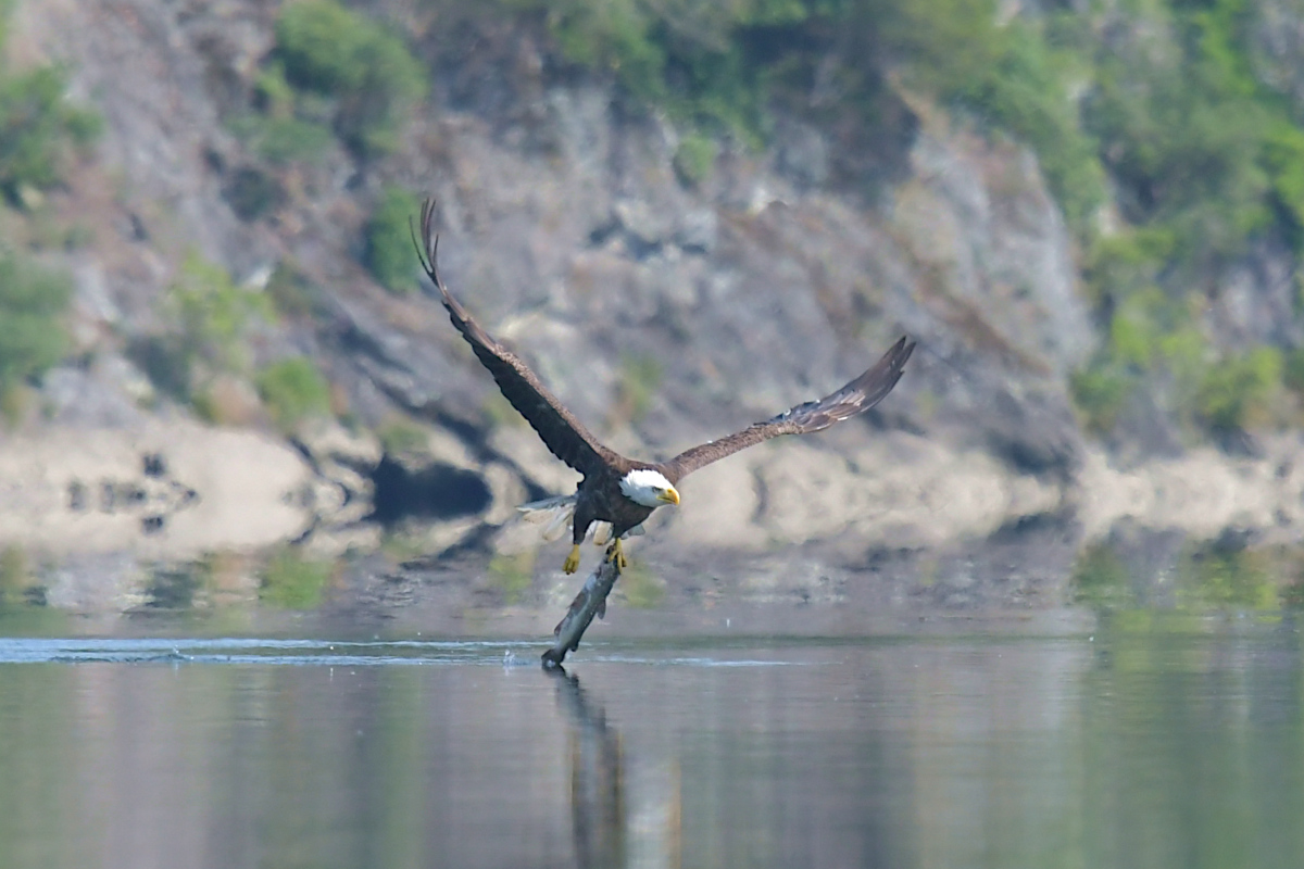 Stockport Flats (Tony) 09