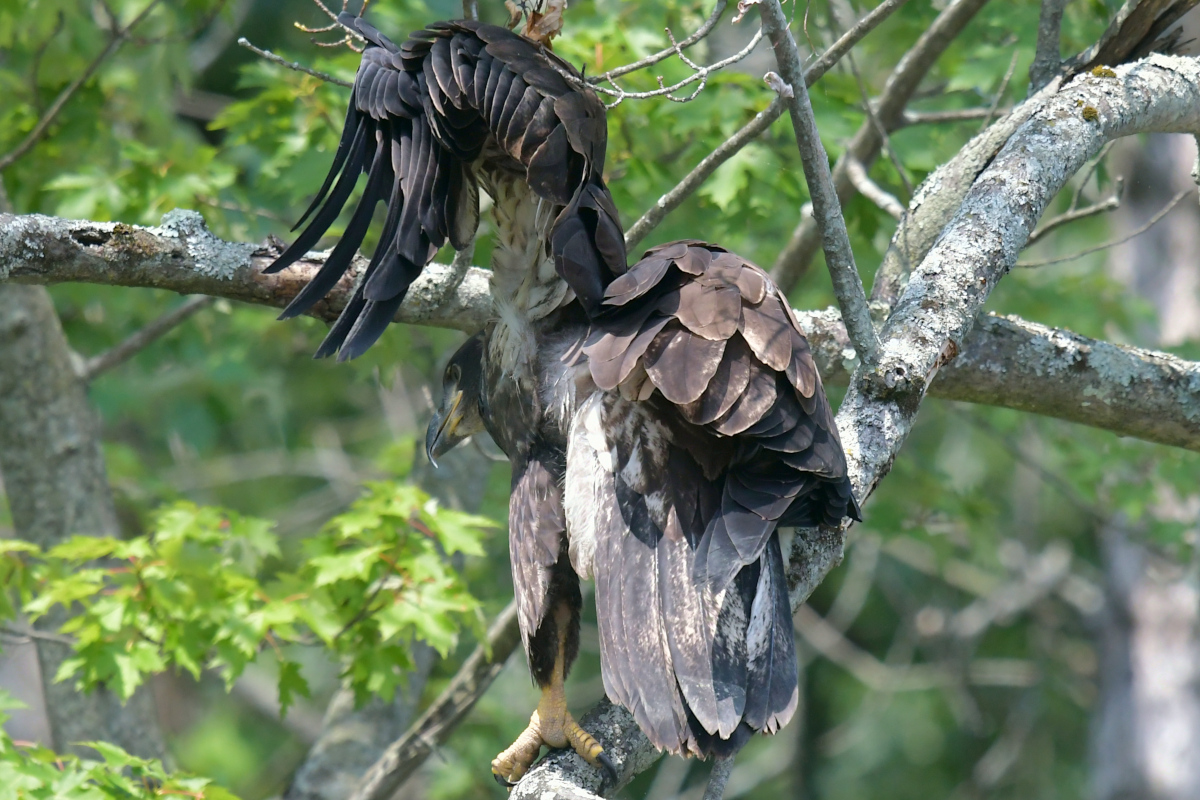 Stockport Flats (Tony) 23