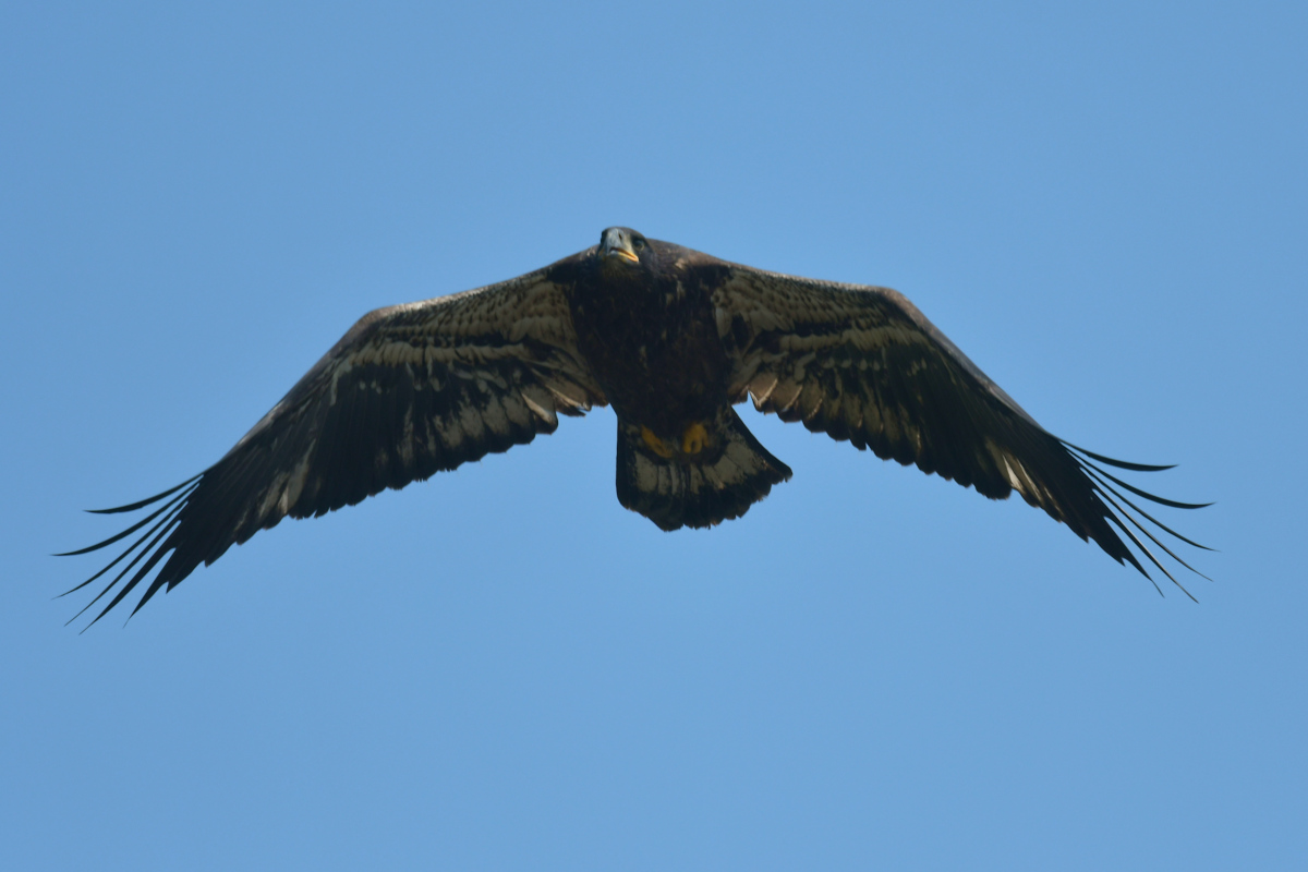 Stockport Flats (Tony) 28