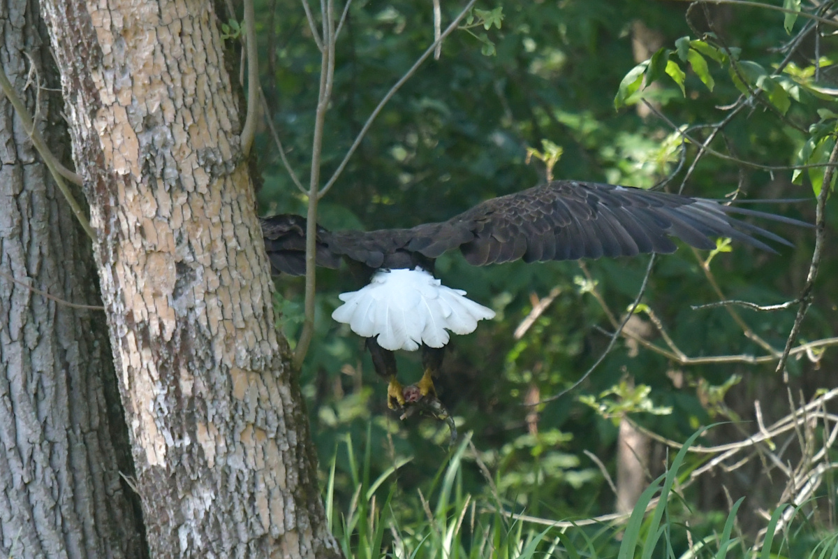 Stockport Flats (Tony) 32