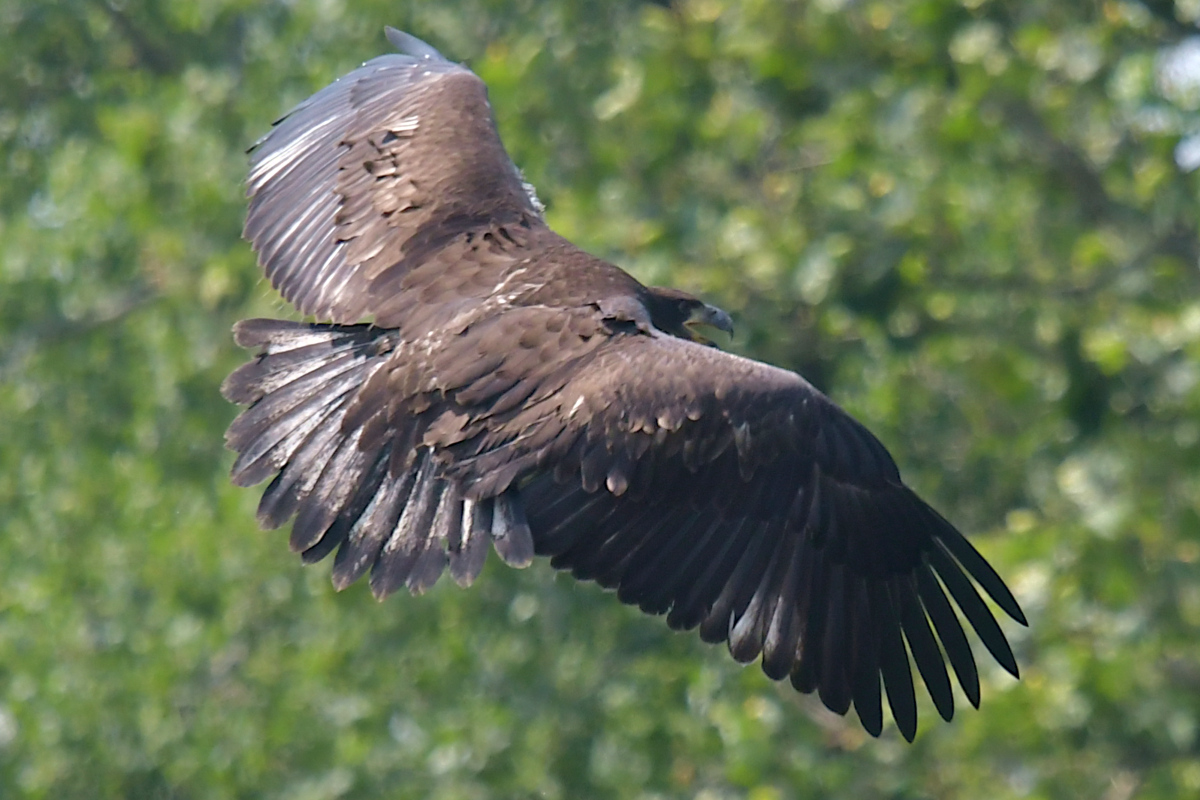 Stockport Flats (Tony) 35