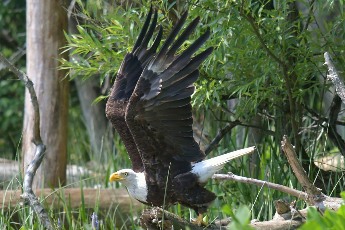 Stockport Flats (Tony) 39