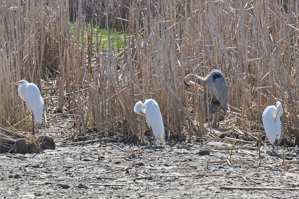 Wagers Pond & Vicinity 01