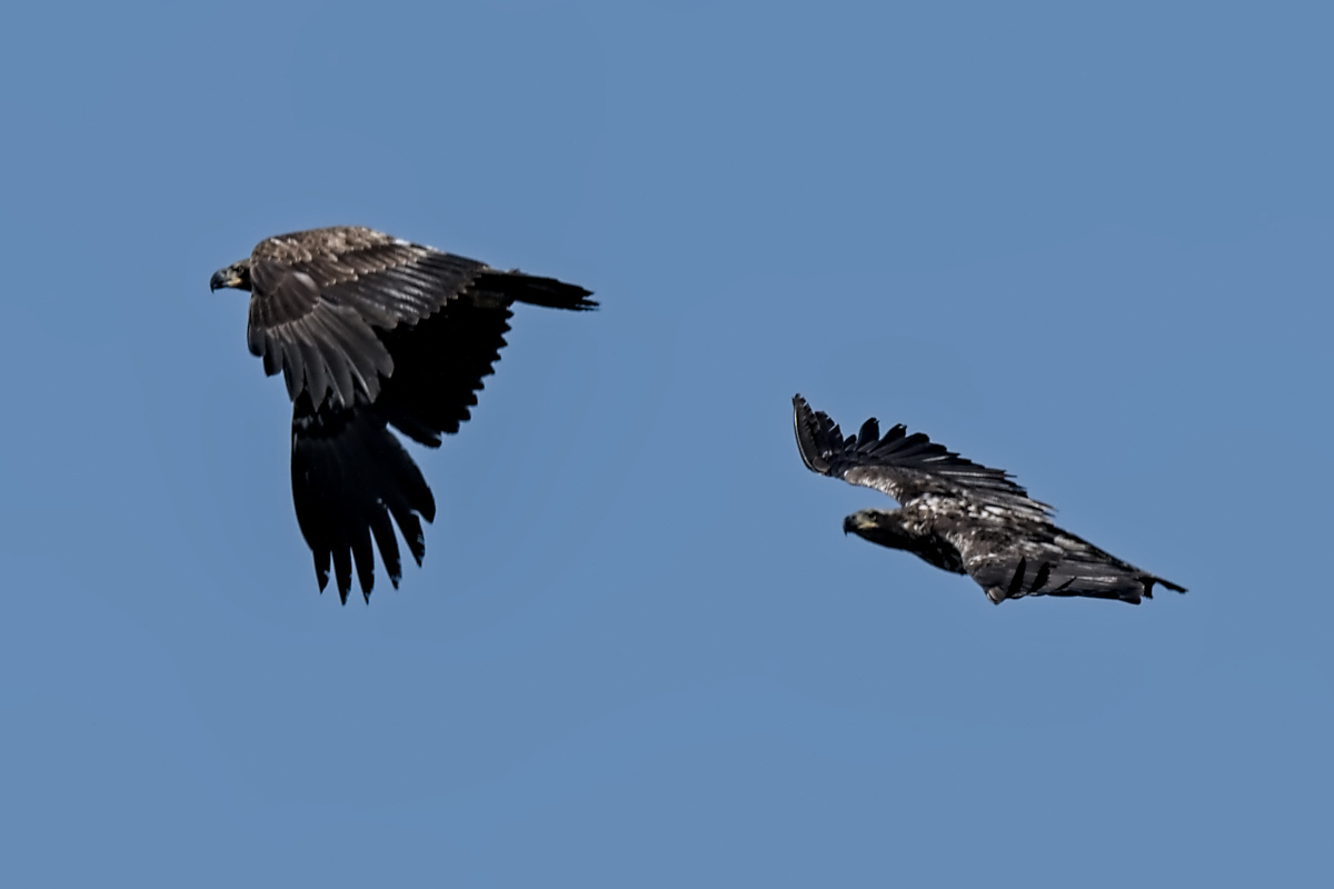 Wagers Pond & Vicinity 03