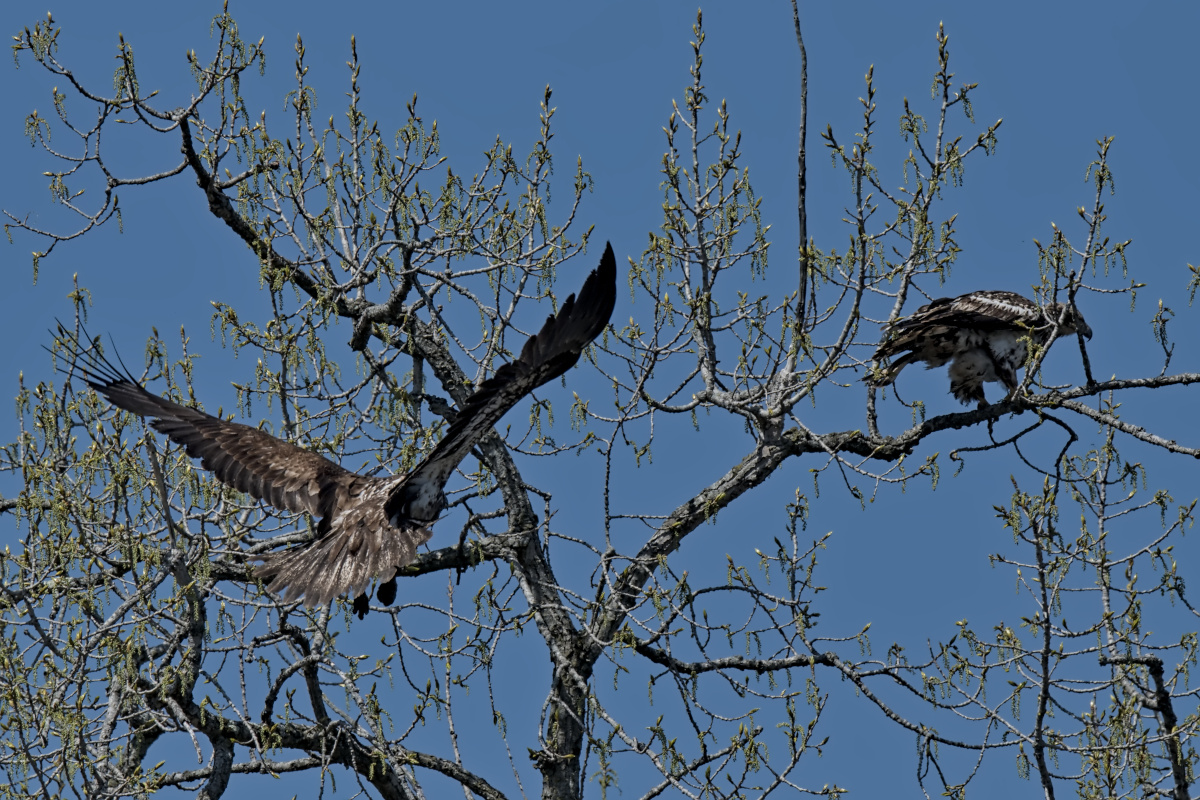 Wagers Pond & Vicinity 11