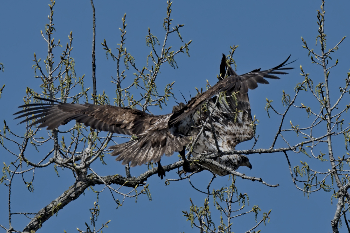 Wagers Pond & Vicinity 12