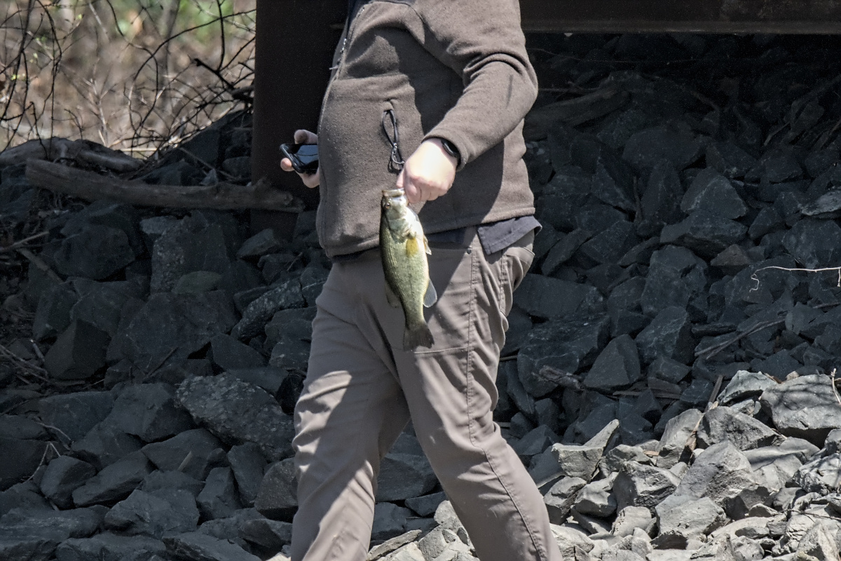 Wagers Pond & Vicinity 13