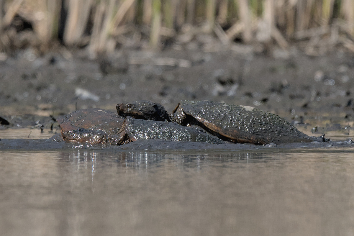 Wagers Pond & Vicinity 19