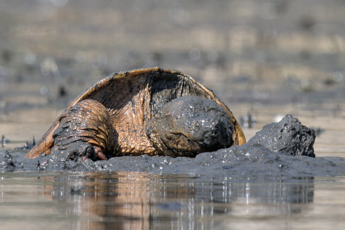 Wagers Pond & Vicinity 20