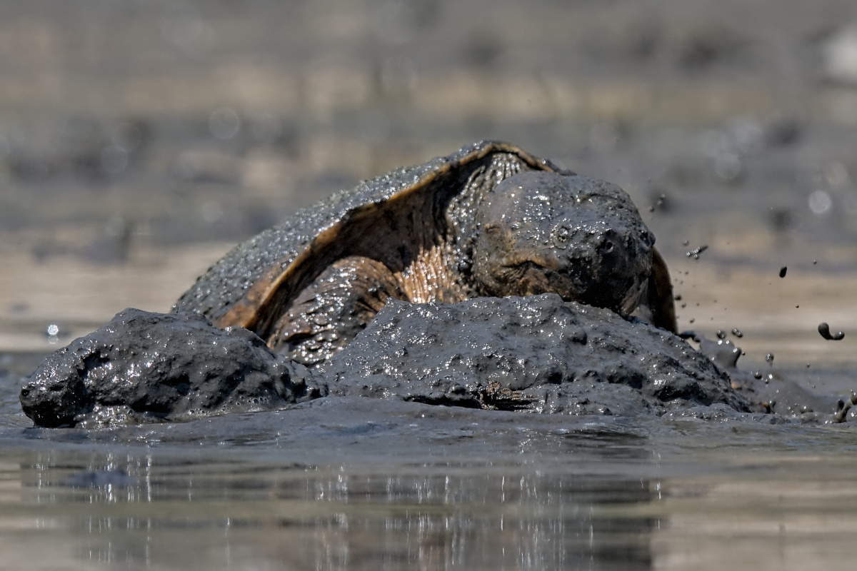 Wagers Pond & Vicinity 22