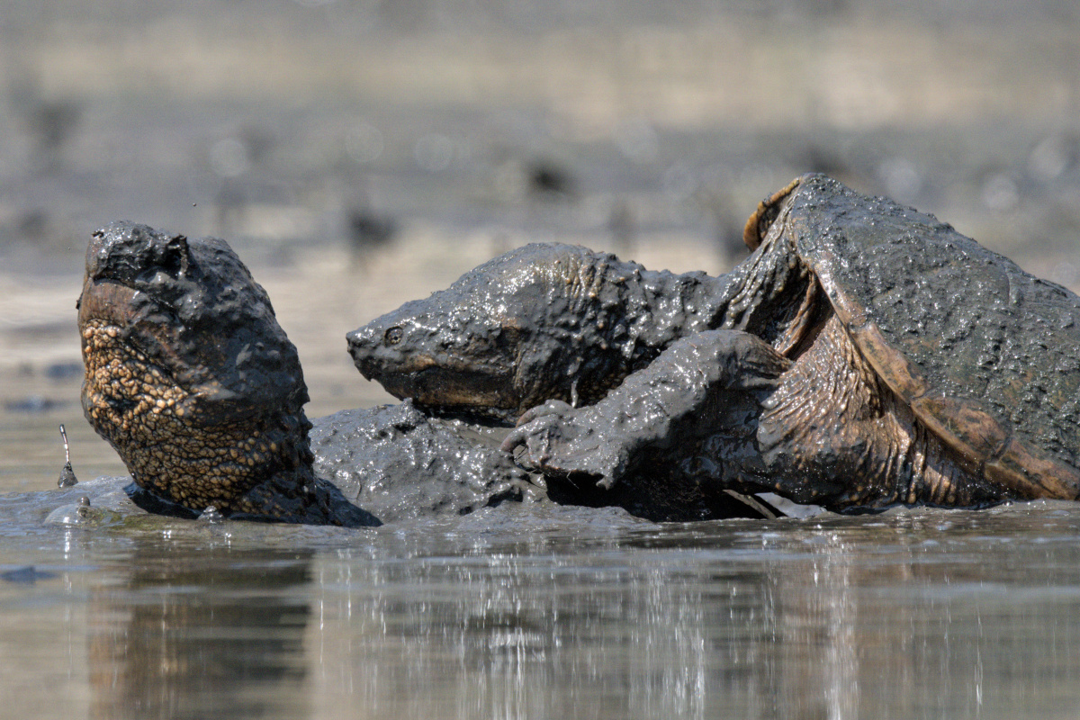 Wagers Pond & Vicinity 23