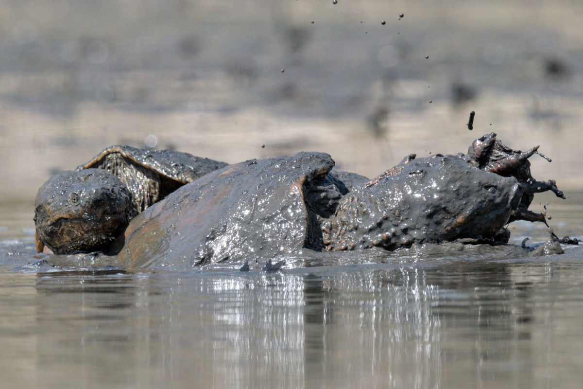 Wagers Pond & Vicinity 24