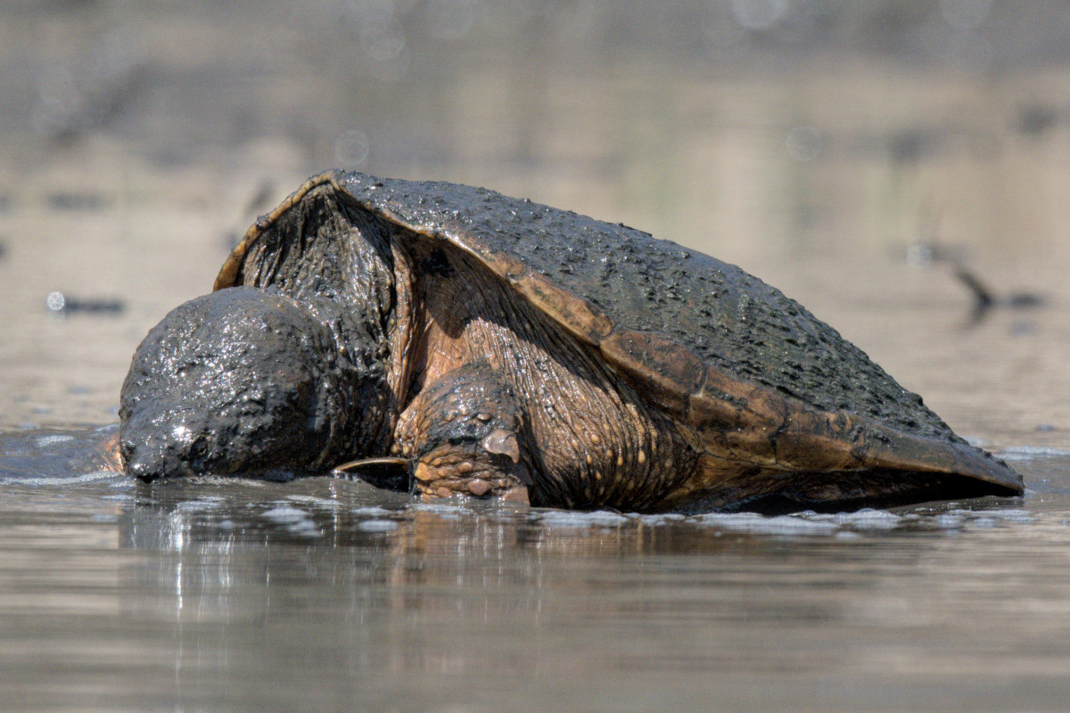 Wagers Pond & Vicinity 25