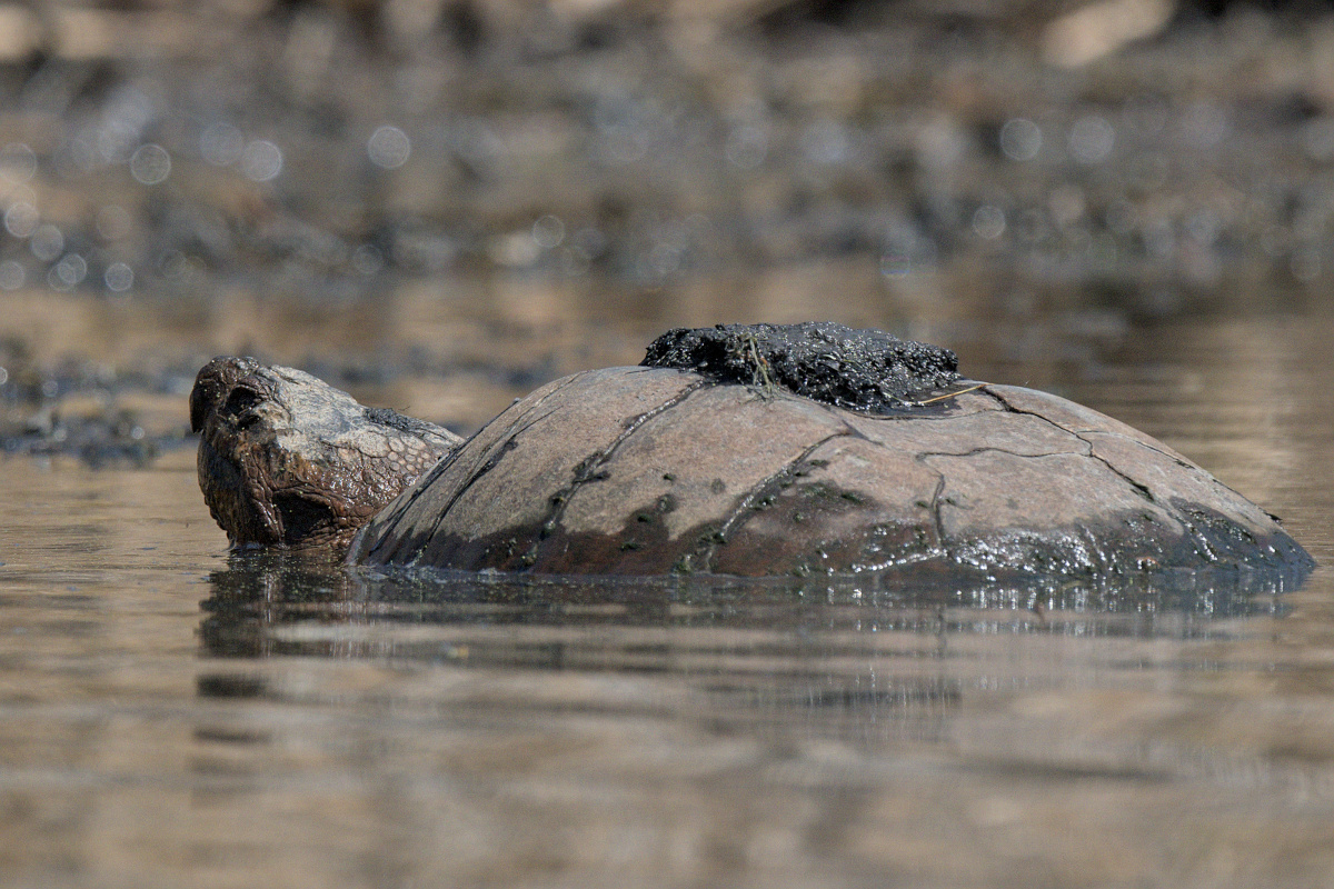 Wagers Pond & Vicinity 26