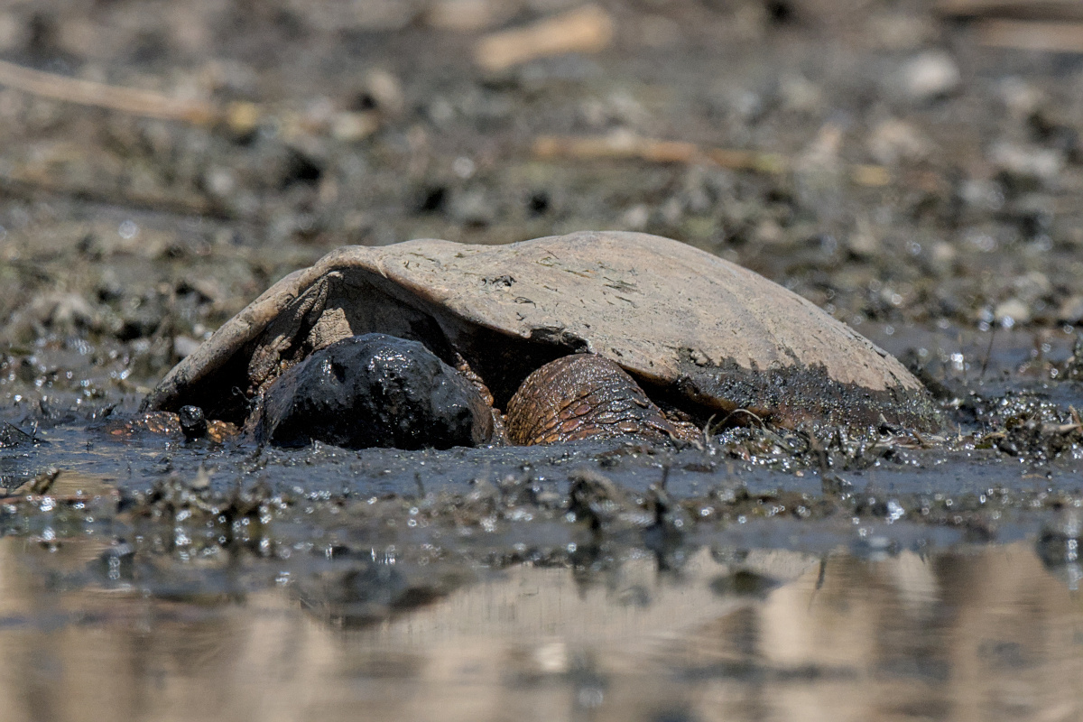 Wagers Pond & Vicinity 27