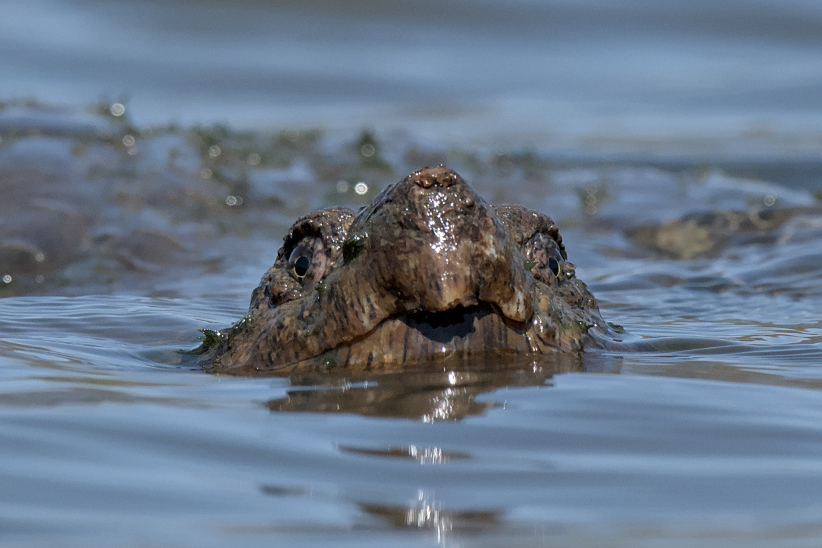 Wagers Pond & Vicinity 28