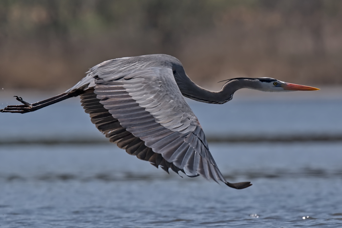 Wagers Pond & Vicinity 30