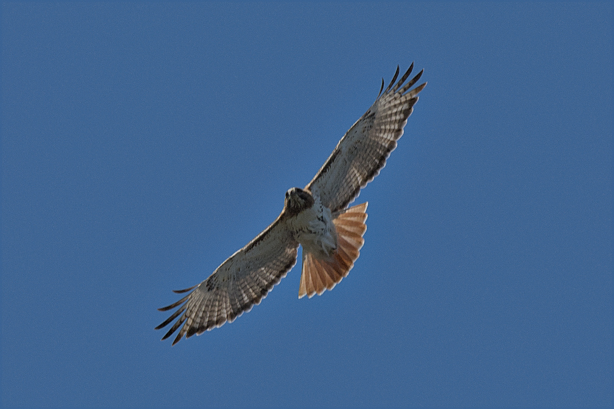 Wagers Pond & Vicinity 31