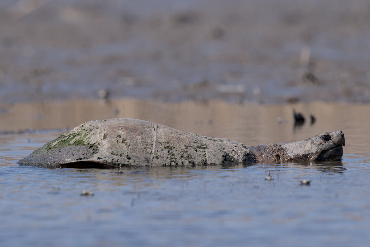 Wagers Pond & Vicinity 37