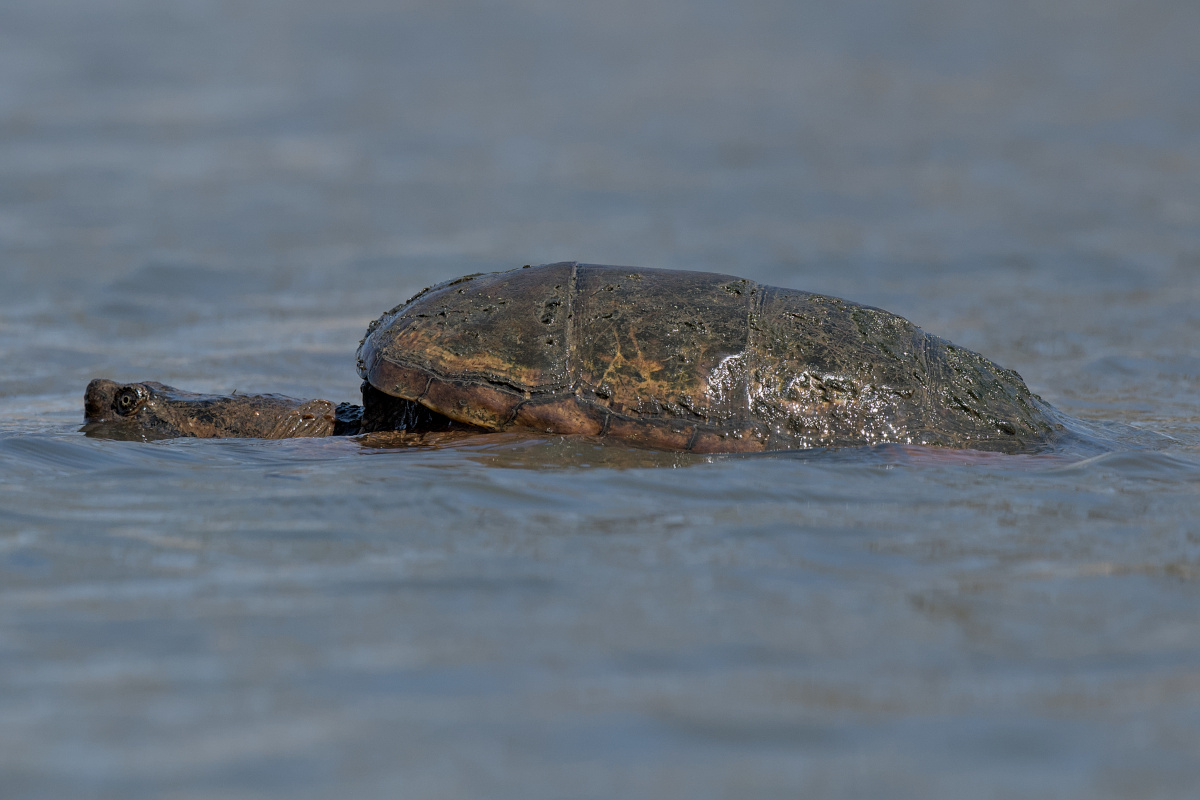 Wagers Pond & Vicinity 38