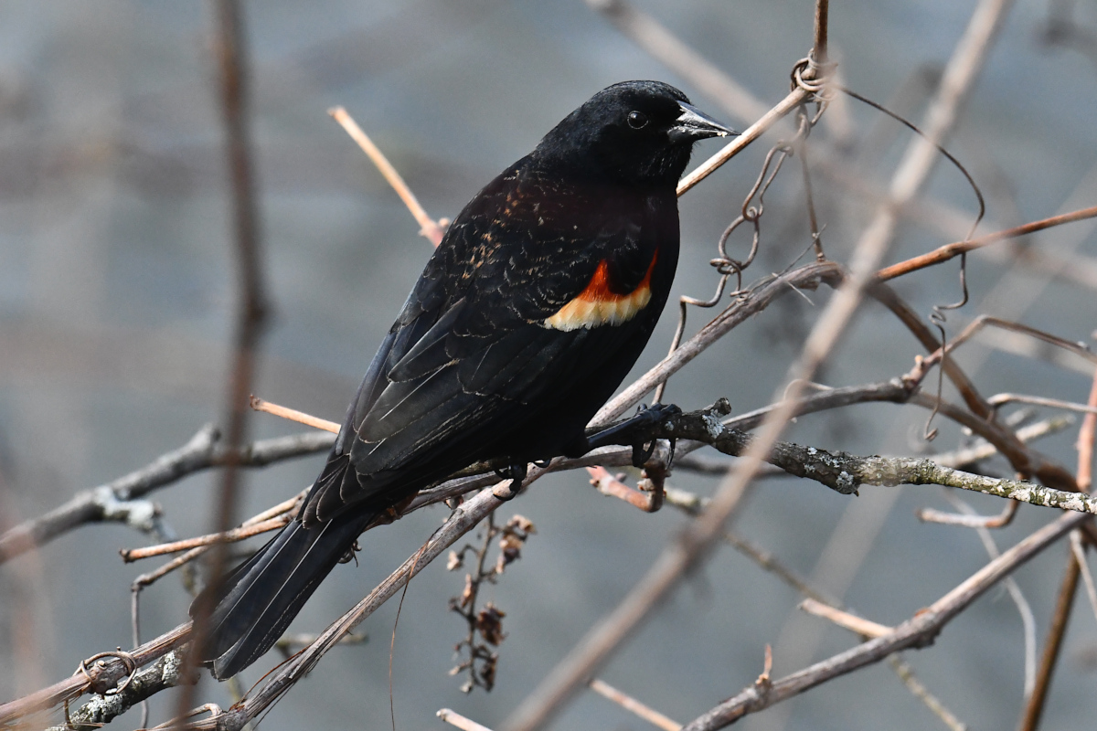 Weekend at Washington Park Lake 06