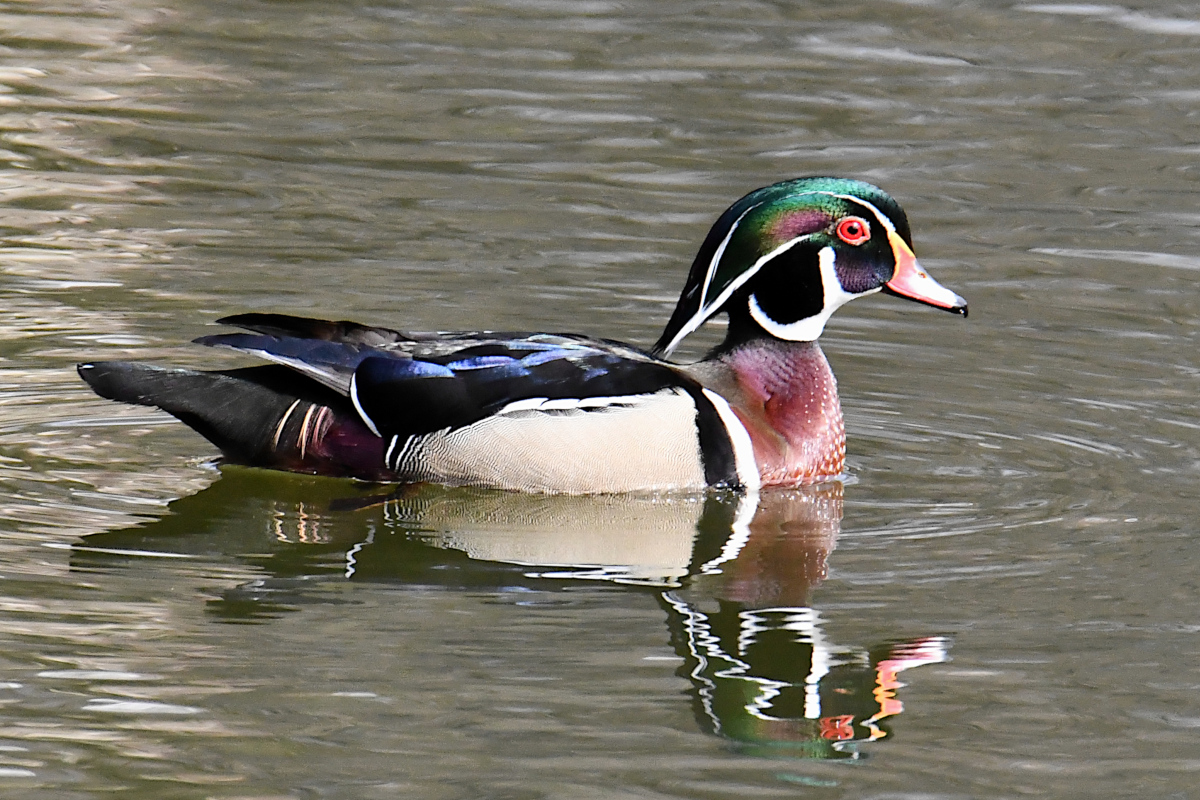 Weekend at Washington Park Lake 14