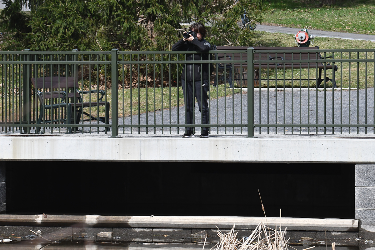 Weekend at Washington Park Lake 21