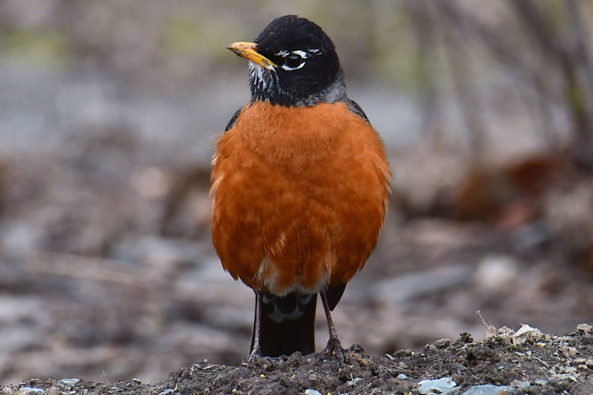 Weekend at Washington Park Lake 28